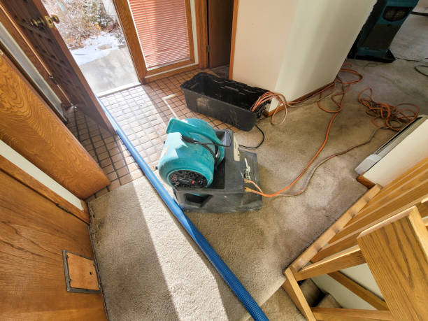 Best Flood damage cleanup  in Edgefield, SC