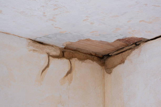 Best Flood restoration services  in Edgefield, SC