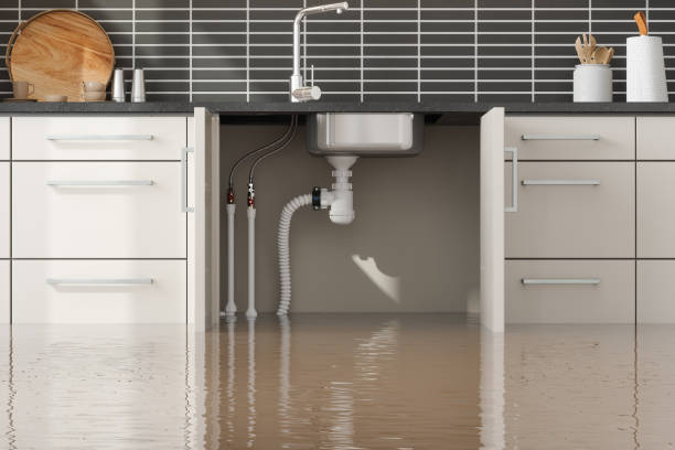Best Mold removal after water damage  in Edgefield, SC