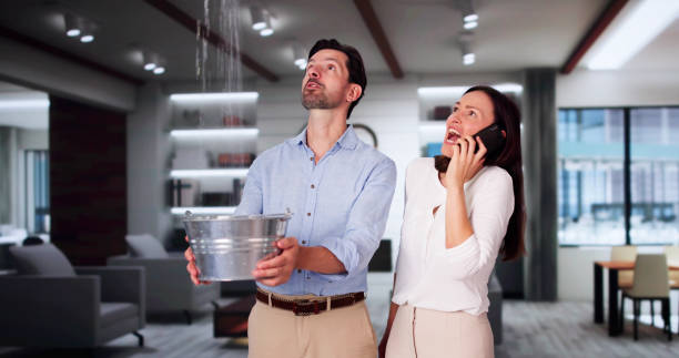 Best 24/7 water damage repair  in Edgefield, SC