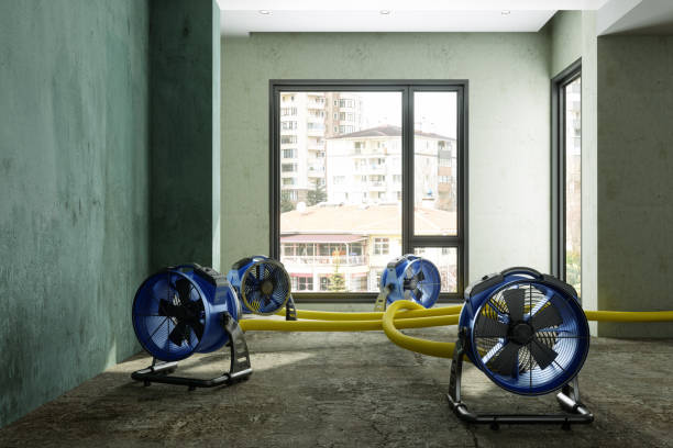 Best Mold removal after water damage  in Edgefield, SC